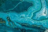 Polished Banded Chrysocolla Slice - Bagdad Mine, Arizona #383688-1